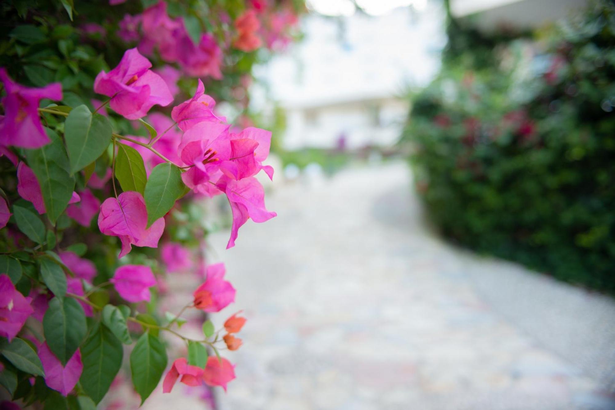 Bougainville Bay Apartments Sarande Exterior photo